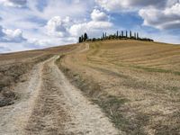 a dirt road with grass on either side of it leads up to a grassy hill in the distance