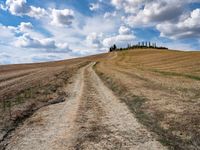 a dirt road with grass on either side of it leads up to a grassy hill in the distance