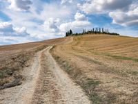 a dirt road with grass on either side of it leads up to a grassy hill in the distance