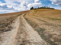 a dirt road with grass on either side of it leads up to a grassy hill in the distance