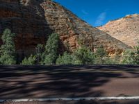 Road in Zion National Park, Utah