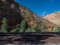 Road in Zion National Park, Utah