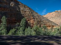 Road in Zion National Park, Utah