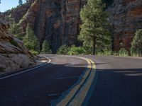 Road through Zion National Park, Utah, USA