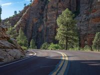 Road through Zion National Park, Utah, USA