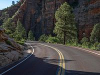 Road through Zion National Park, Utah, USA