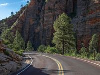 Road through Zion National Park, Utah, USA