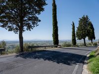 trees along the road at the mountainside with a bench in front of it and green grass to the side of the roadway