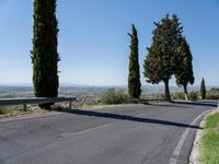 trees along the road at the mountainside with a bench in front of it and green grass to the side of the roadway