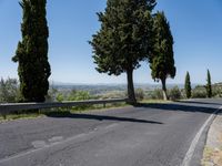 trees along the road at the mountainside with a bench in front of it and green grass to the side of the roadway