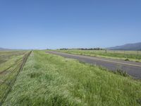 a sign points at a roadway which is lined with grass and weeds near a beach