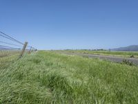 a sign points at a roadway which is lined with grass and weeds near a beach