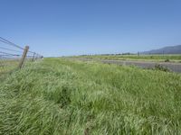 a sign points at a roadway which is lined with grass and weeds near a beach