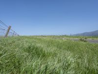 a sign points at a roadway which is lined with grass and weeds near a beach