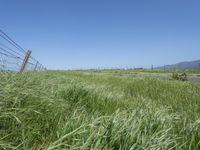 a sign points at a roadway which is lined with grass and weeds near a beach