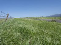 a sign points at a roadway which is lined with grass and weeds near a beach