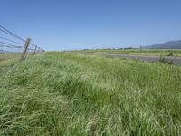 a sign points at a roadway which is lined with grass and weeds near a beach