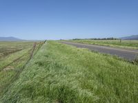 a sign points at a roadway which is lined with grass and weeds near a beach