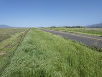 a sign points at a roadway which is lined with grass and weeds near a beach