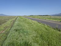 a sign points at a roadway which is lined with grass and weeds near a beach