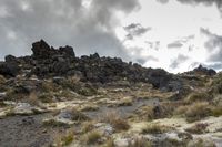 Dome-shaped rock formation on grassy terrain in New Zealand
