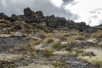 Dome-shaped rock formation on grassy terrain in New Zealand