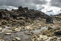 Dome-shaped rock formation on grassy terrain in New Zealand