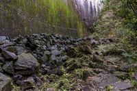 rocks along the path are piled up with moss and moss growing on the walls of a dam wall