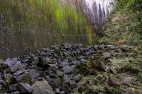 rocks along the path are piled up with moss and moss growing on the walls of a dam wall