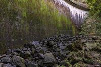 rocks along the path are piled up with moss and moss growing on the walls of a dam wall