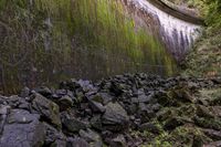 rocks along the path are piled up with moss and moss growing on the walls of a dam wall