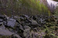 rocks along the path are piled up with moss and moss growing on the walls of a dam wall