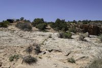 a lone car drives through a rocky area, including a large cliff and a cactus filled field