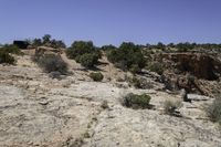 a lone car drives through a rocky area, including a large cliff and a cactus filled field