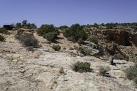 a lone car drives through a rocky area, including a large cliff and a cactus filled field