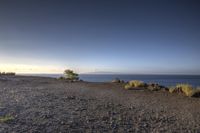 a beautiful view of the water from a rocky beach with small shrubs and trees on the cliff