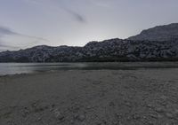 a very rocky beach near a lake with a small tree on the shore and some mountains in the background