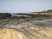 two people stand on rocky coast with some seaweed on the rocks and another person walking on a sandy shore