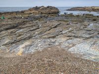 two people stand on rocky coast with some seaweed on the rocks and another person walking on a sandy shore