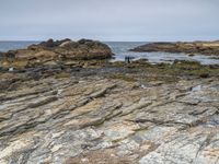 two people stand on rocky coast with some seaweed on the rocks and another person walking on a sandy shore