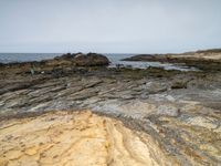 two people stand on rocky coast with some seaweed on the rocks and another person walking on a sandy shore