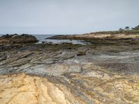 two people stand on rocky coast with some seaweed on the rocks and another person walking on a sandy shore