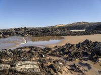 a sandy beach with large rocks and water near the shore of a bay on a sunny day