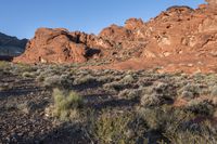 rocky area in the desert surrounded by vegetation and rocks with a blue sky in the background