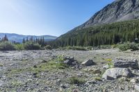 a rocky field in the mountains with lots of rocks and a rock path by the mountain range