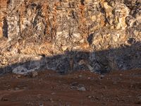 a horse with large ears is standing in the desert and shadows are cast across the rocky hill