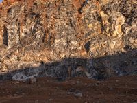 a horse with large ears is standing in the desert and shadows are cast across the rocky hill