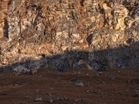 a horse with large ears is standing in the desert and shadows are cast across the rocky hill