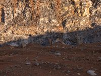 a horse with large ears is standing in the desert and shadows are cast across the rocky hill