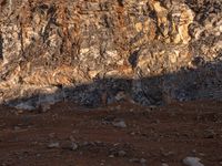 a horse with large ears is standing in the desert and shadows are cast across the rocky hill